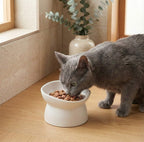 The Modern Tilt Bowl