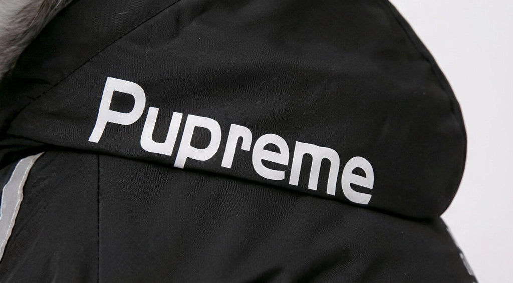 The All-Weather Shelter Coat