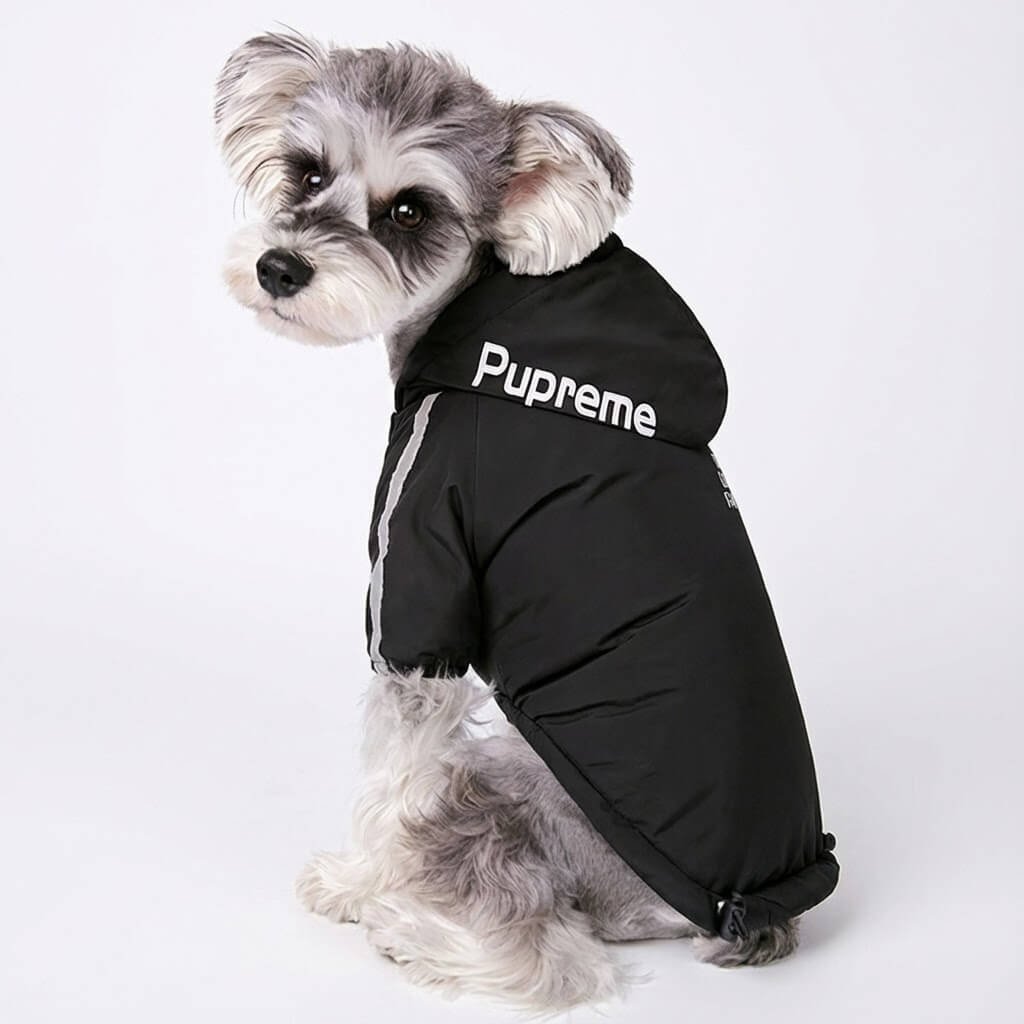 The All-Weather Shelter Coat